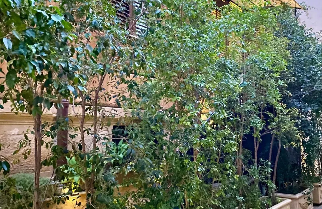 Casa 3D'Oro Palermo-1